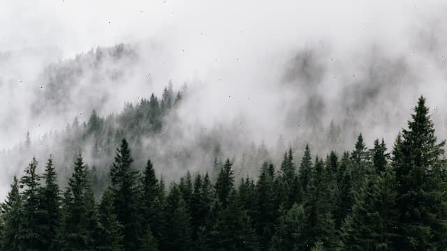 Carpați: Drumeții și Natură